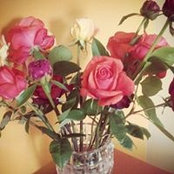 Photo de Katie Eusebio