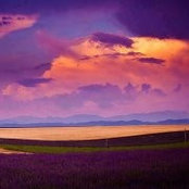 Karen Busse's photo
