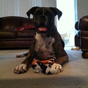 Linda Helstowski's photo