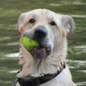 Foto von Bonnie Harmston