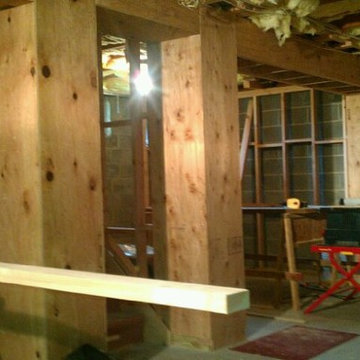 Basement Remodels