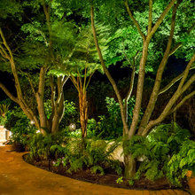 Outdoor Lighting
