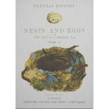Wall Art Print Nest and Feathers Morris Bird Egg Birdnest 39x54 54x39