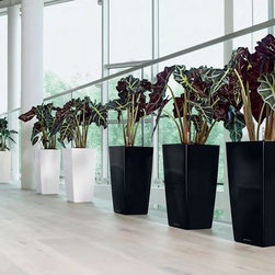 Modern Planter - Products