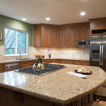 Transitional Burlingame Kitchen Designed By CJ Lowenthal
