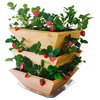 Homegrown Gourmet Products Strawberry Patch Tower