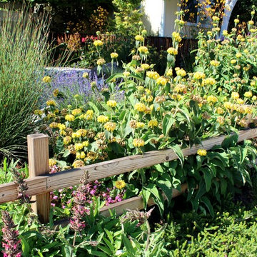 Rainwater Harvesting and Water Conserving
