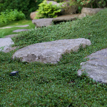 Moss gardens