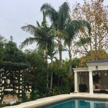 Yorba Linda Tropical