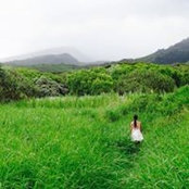 Diane Parilla's photo