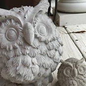 Angelina Krell's photo
