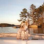 DON SCHOENBERGER's photo