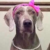 Christine Strang Boldrick's photo