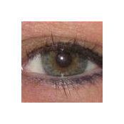 Shelley Brown's photo