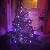 Rachael Lee's photo