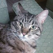 Lynnette Bramley's photo