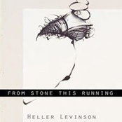 Heller Levinsons foto
