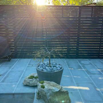 Windsor Terrace backyard