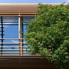 new tree house