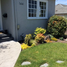 Front Yard Landscaping