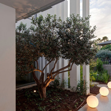 The Dynamic House