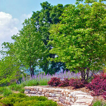 Landscape New Saves