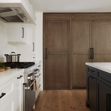 White and Twilight Mountain stain Transitional Home