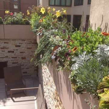 newyorkplantings: The Ultimate Garden Designer
