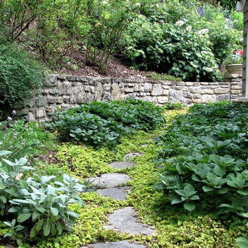Garden Services & Lawn Maintenance