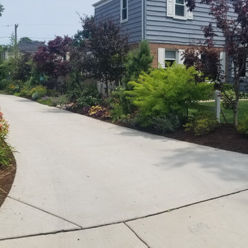 Arlington Heights Unique Landscape