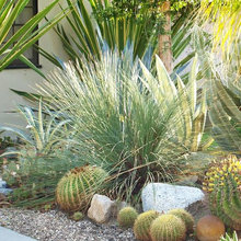 Landscape Design