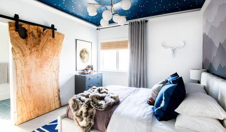 Nods to Nature and ‘Star Wars’ in 2 Boys’ Bedrooms and Bath