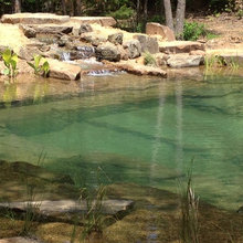 natural swimming pond