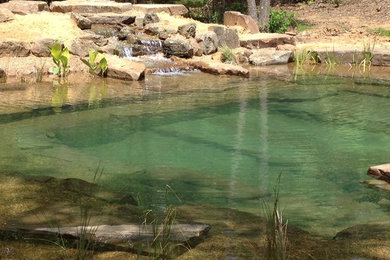 This is an example of a mid-sized traditional landscaping in Dallas.