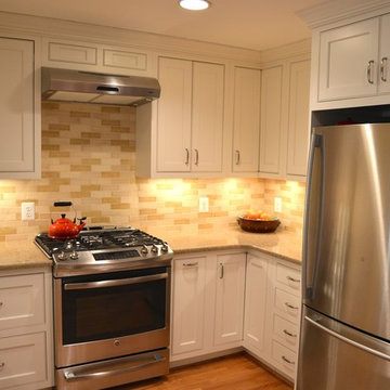 Alexandria Traditional Inset Remodel