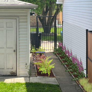 Foundation Plantings