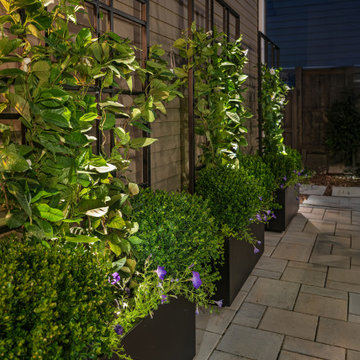 Al Fresco Living in Arlington