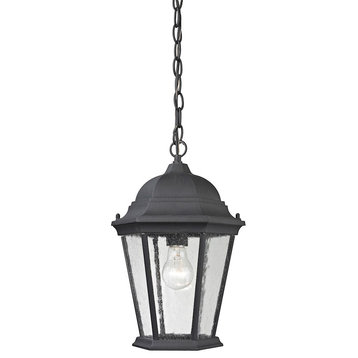 Thomas Lighting Temple Hill 1-Light Hanging Light, Black