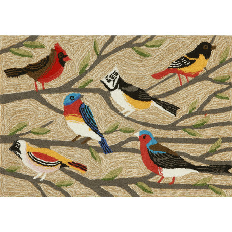 Frontporch Birds Indoor/Outdoor Rug Multi 2'6x4'