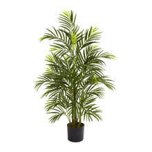 Plants