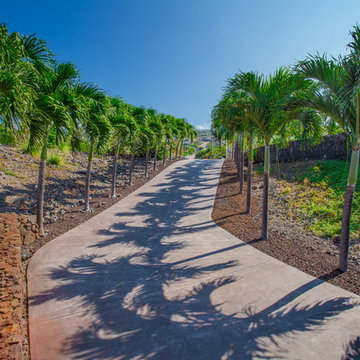 MLS 281655 | Sloped Estate Driveway, lined with tropical palms