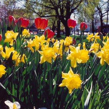 Perennial Gardens