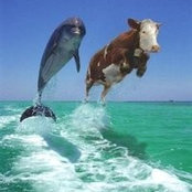 Rachael DeVries's photo