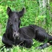 Angela Spooner's photo
