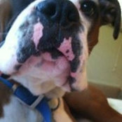 Foto von Mary Jablonski