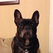 Sharla Cochran's photo