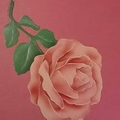 Maura Lusk's photo