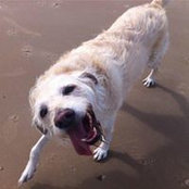 Jonathan Stolzenberg's photo