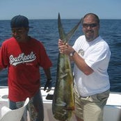 Brian Maida's photo