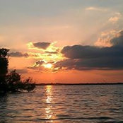 Carl Rogers's photo